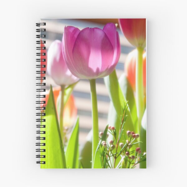Aperçu de l'œuvre Tulips 3 créée et vendue par JohnW.