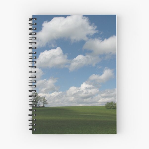Aperçu de l'œuvre A beautiful day créée et vendue par Leslie  Lippert.