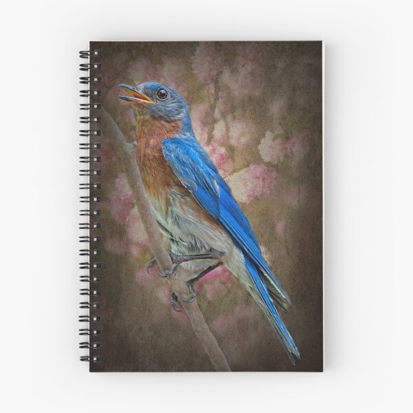 Item preview, Vintage Bluebird designed and sold by Bonnie T.  Barry.