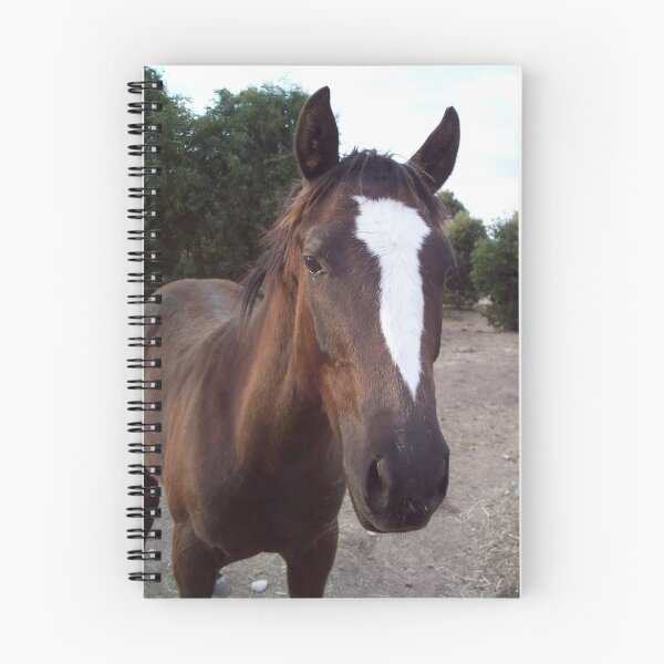 Item preview, Horses for courses designed and sold by mamastoyracing.