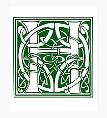Ornate H Capital Letter Initial Lombard Green Photographic Print