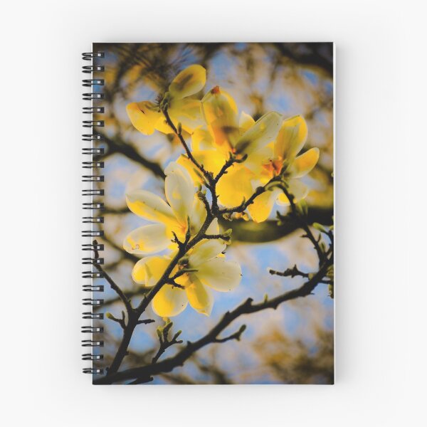 Item preview, Under the magnolia designed and sold by Pat Shawyer.