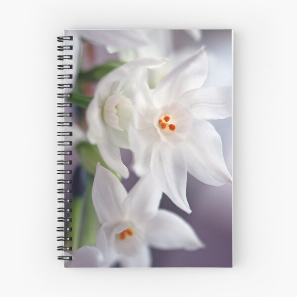Item preview, Purity designed and sold by Extraordinary Light.