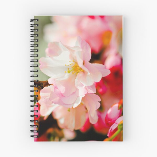 Artikelvorschau, Gewebsrosa Blüte entworfen und verkauft von Pat Shawyer.