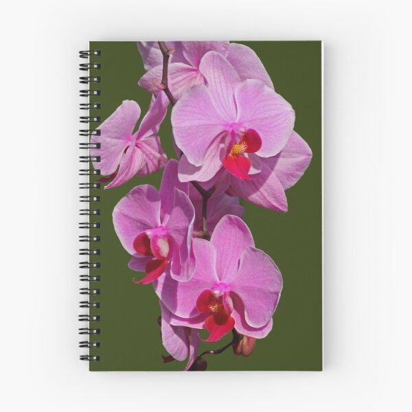 Item preview, Orchid, Phalaenopsis designed and sold by Robert Abraham.