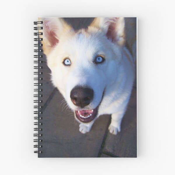 Item preview, Pale Blue Eyes designed and sold by Sarah Fulford.