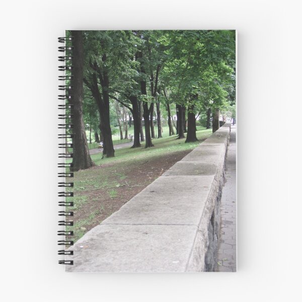 Item preview, Park Wall designed and sold by DarylE.
