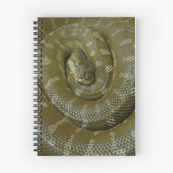 Item preview, Curled Up Snake designed and sold by Clare101.