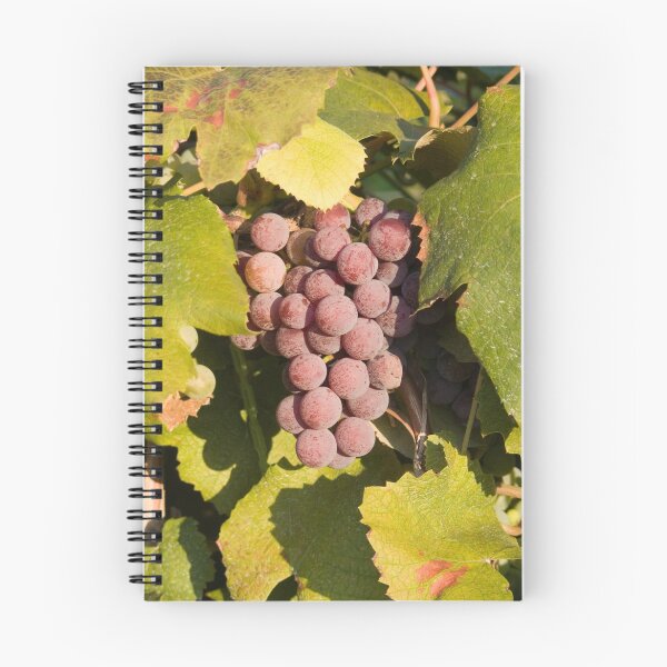Aperçu de l'œuvre A Vineyard Delight créée et vendue par Steve  Bootay.