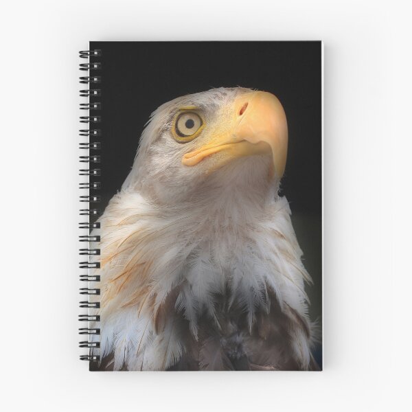 Item preview, Proud designed and sold by Steve  Taylor.