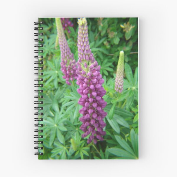 Item preview, Mauve Lupins designed and sold by sharoncohen.