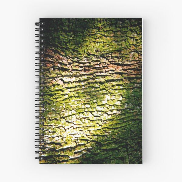 Aperçu de l'œuvre Tree Bark créée et vendue par Wayne Gerard Trotman.