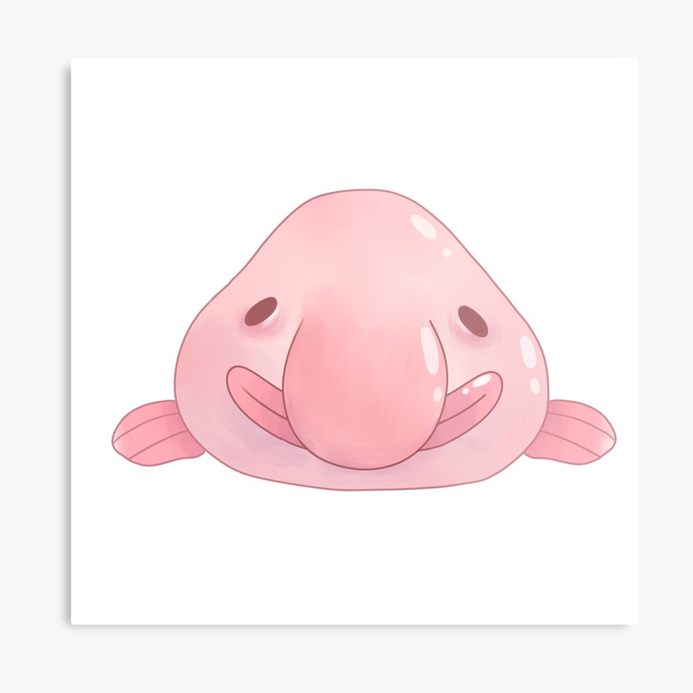 Blob Fish - Date 2  Blobfish, Fish drawings, Happy animals