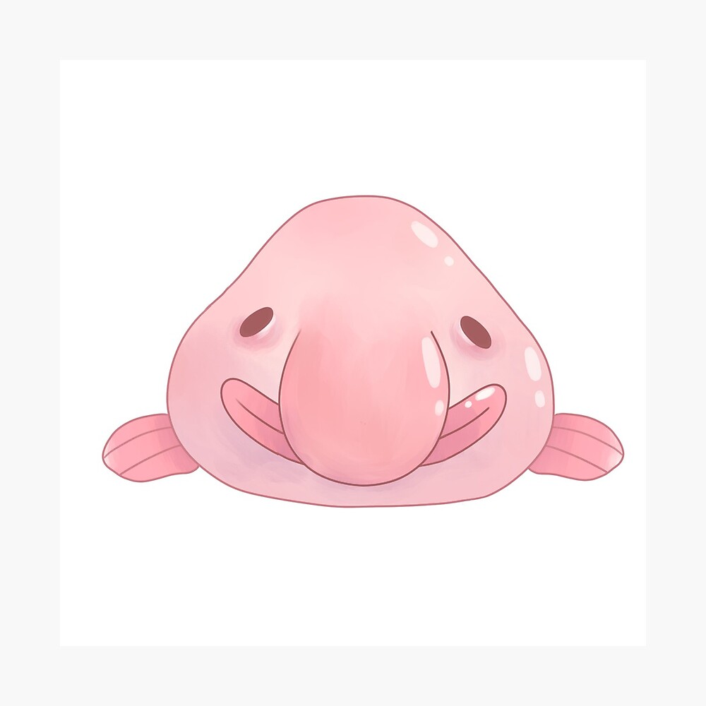 Cute blob fish