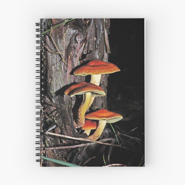 Item preview, group on tea tree designed and sold by Colin12.