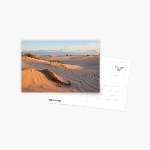 Sand sculpture Postcard