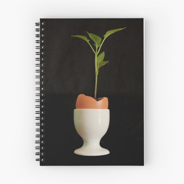 Item preview, Rebirth designed and sold by Getty72.