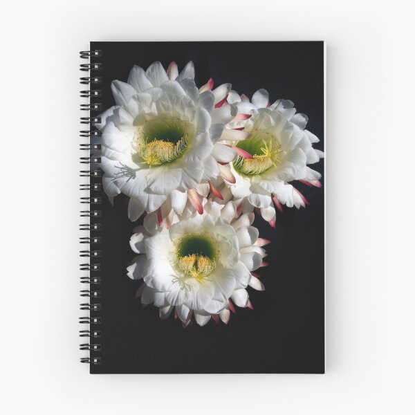 Item preview, Night Bloomer designed and sold by Dick Paige.