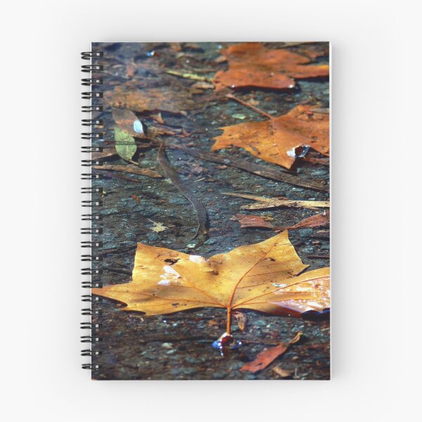 Artikelvorschau, Autumn Textures entworfen und verkauft von Trish Woodford.
