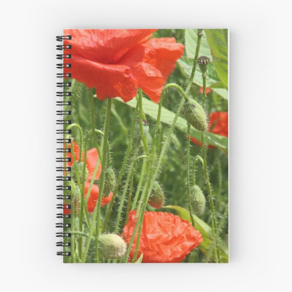Item preview, Field of poppies designed and sold by AbsintheFairy.