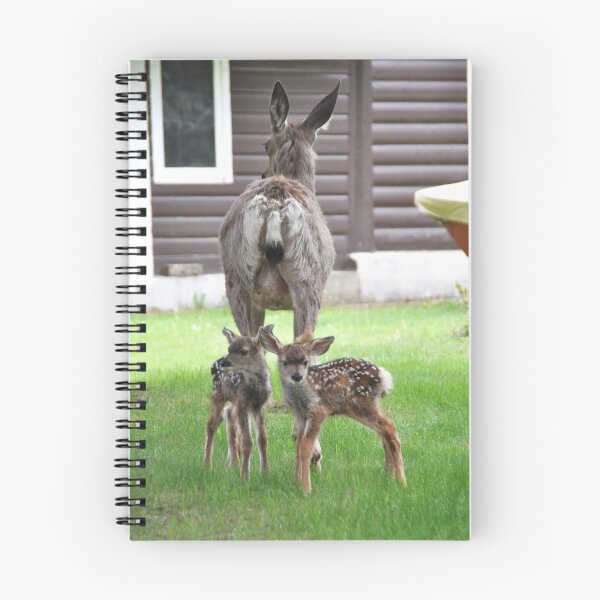 Item preview, Come on Deers designed and sold by Judy Ann Grant.
