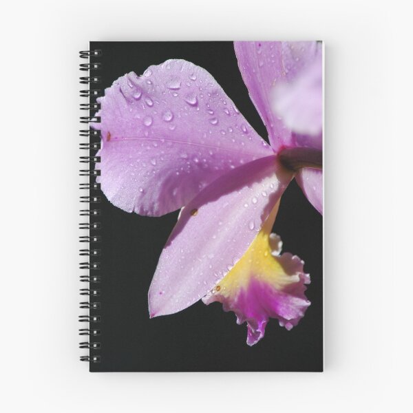 Item preview, Orchid designed and sold by DUNCAN DAVIE.