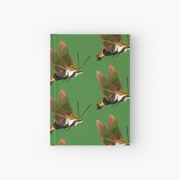 Snowberry Clearwing Moth, Hemaris diffinis Hardcover Journal