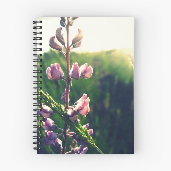 Artikelvorschau, Caress entworfen und verkauft von MRPhotography.