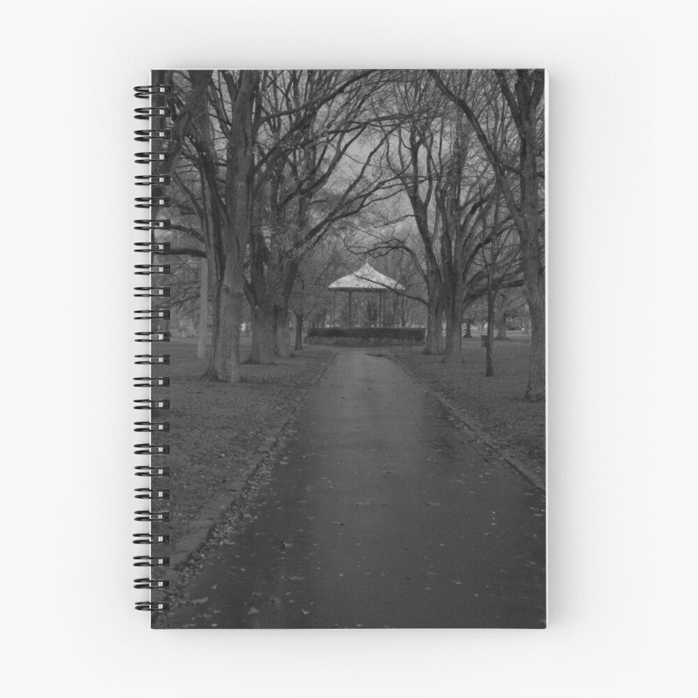 Item preview, Spiral Notebook designed and sold by Roux.