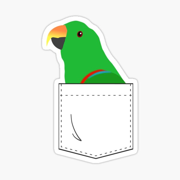 Eclectus Male Parrot In Your Front Pocket Sticker