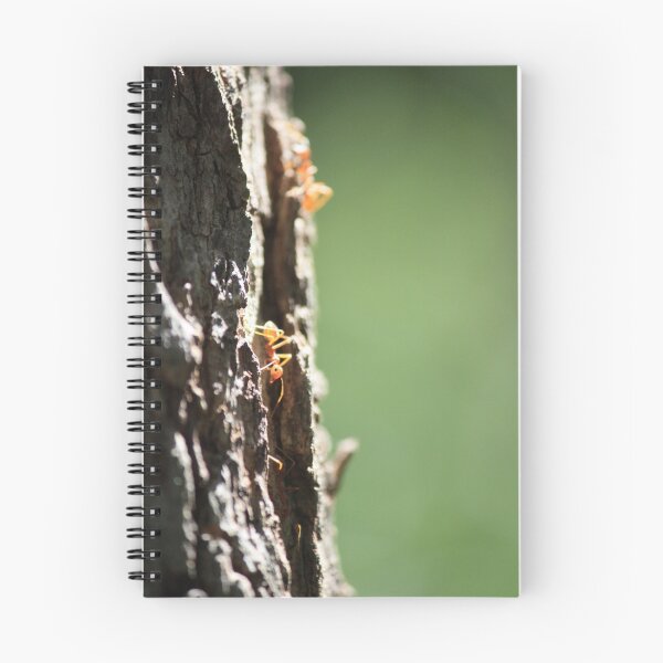 Item preview, Marching Ahead designed and sold by Indrani Ghose.