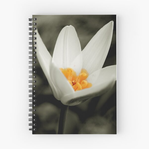 Item preview, Fascinating 2 designed and sold by ckroeger.