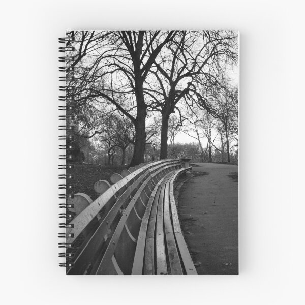Item preview, New York Central Park Bench designed and sold by Carlos Restrepo.