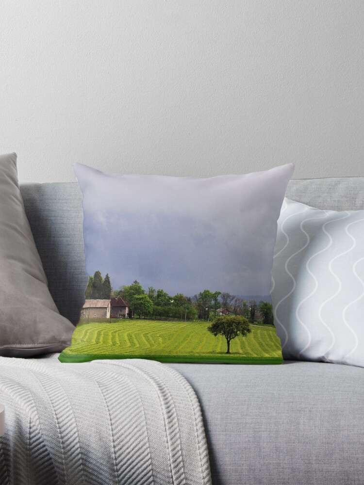 Item preview, Throw Pillow designed and sold by patmo.