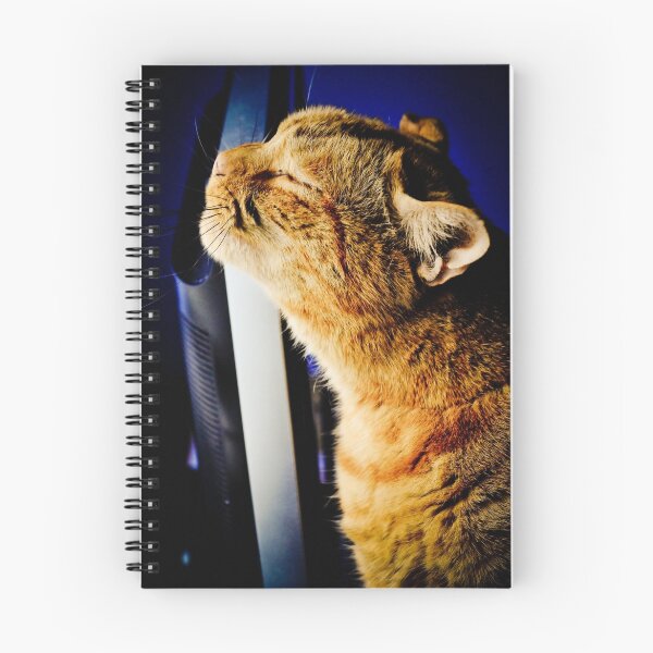 Item preview, Cat dreams designed and sold by Pat Shawyer.