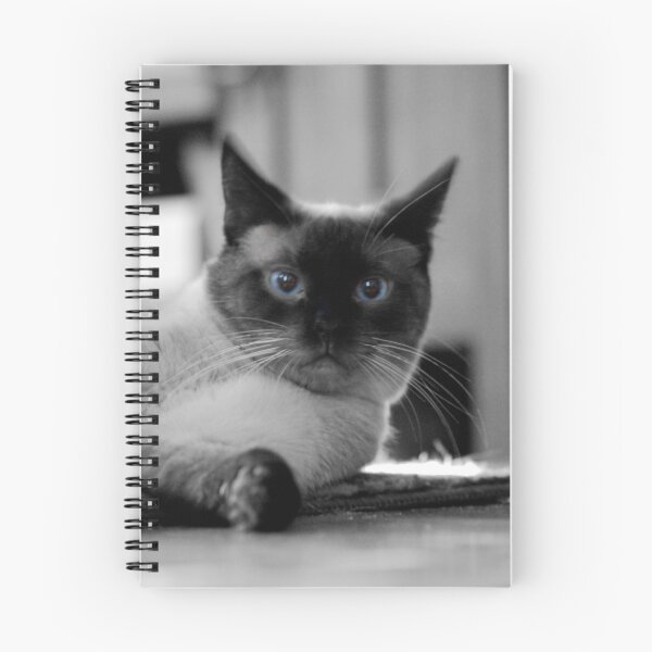Item preview, Blue Eyes designed and sold by Taylor Russell.