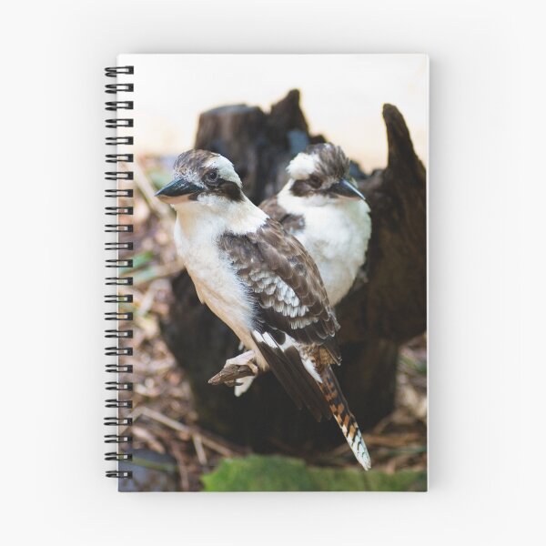 Item preview, Kookaburra designed and sold by Craig Fletcher.