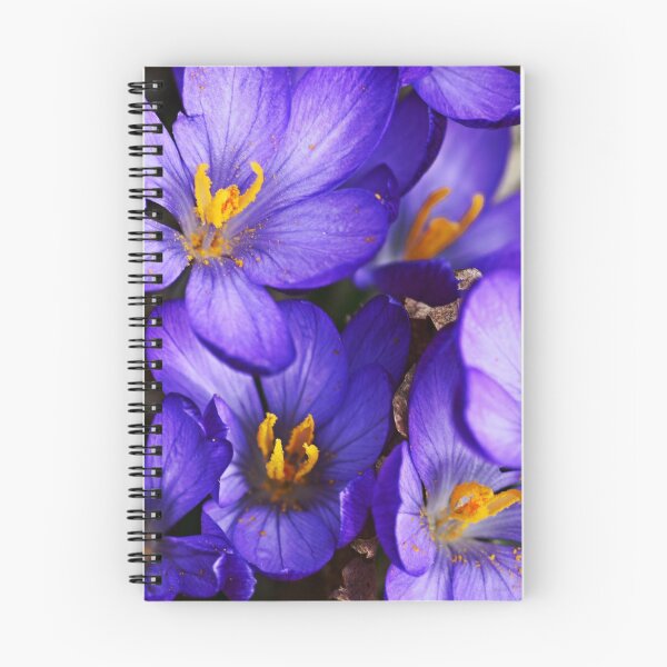 Item preview, Purple Crocuses designed and sold by tinatippettshop.