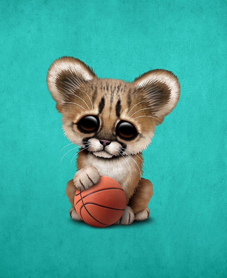 Cheetah Cub Playing With Basketball | Sticker