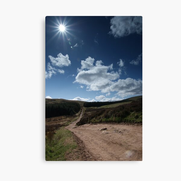 Shining Through Canvas Print
