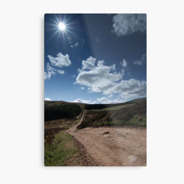 Shining Through Metal Print