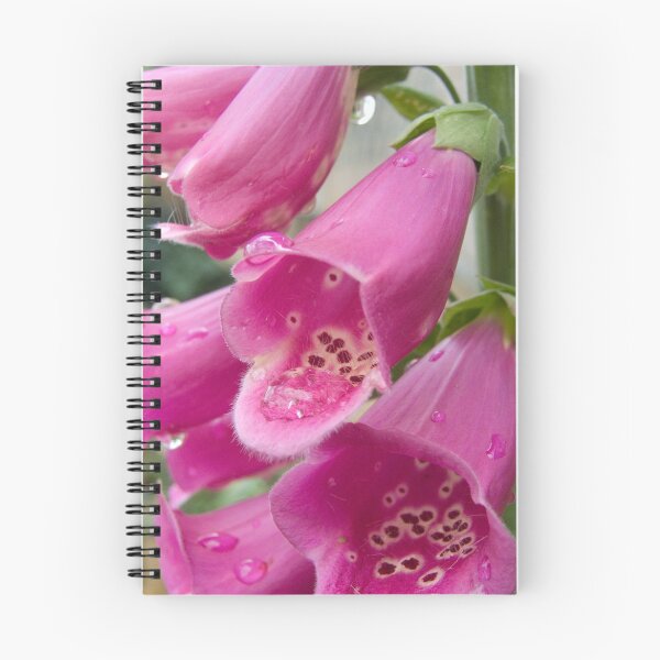 Item preview, Foxglove designed and sold by Sandra Mangnall.