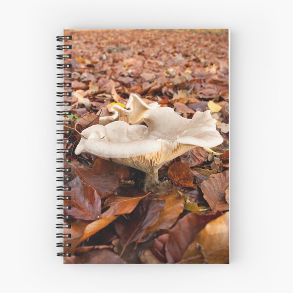 Item preview, Surrounded by a sea of beech-leaves (please full view) designed and sold by steppeland.