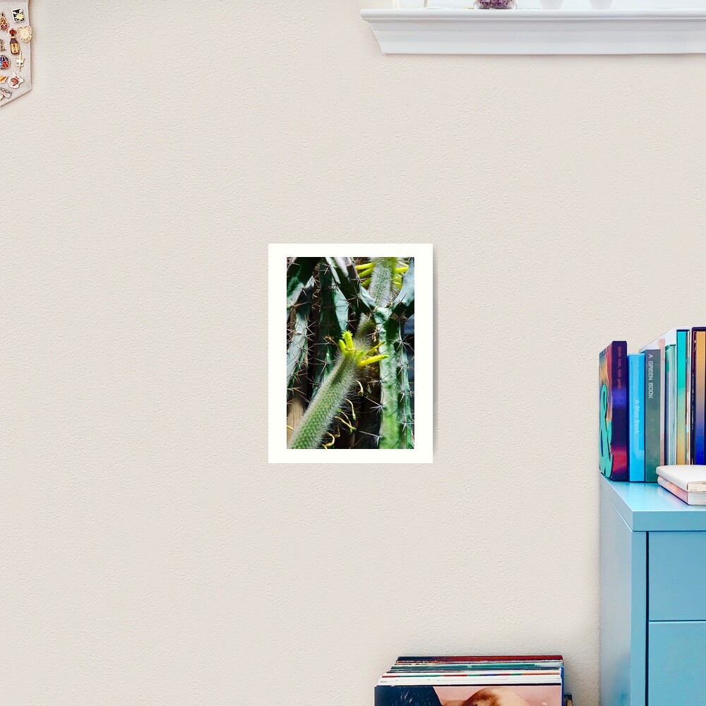 Cactus Buds Art Print