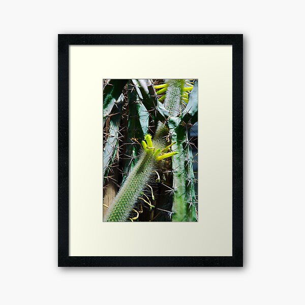 Cactus Buds Framed Art Print