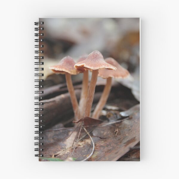 Item preview, Fungi designed and sold by Alison  Gainge.