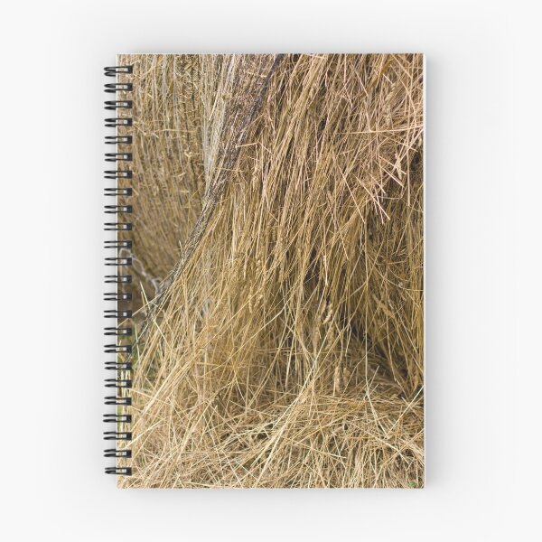Item preview, Hay designed and sold by Clinton Warburton.