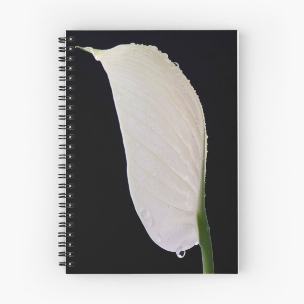 Item preview, Peace Lily (spathipyllum) designed and sold by Claire  Farley.
