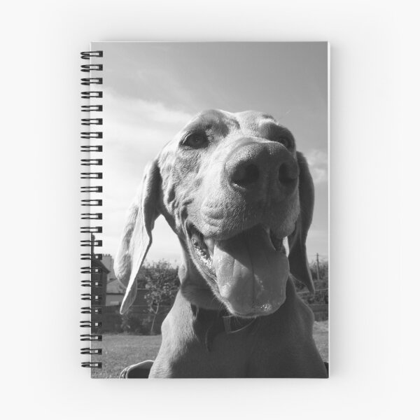 Artikelvorschau, Smiler entworfen und verkauft von nikki harrison.