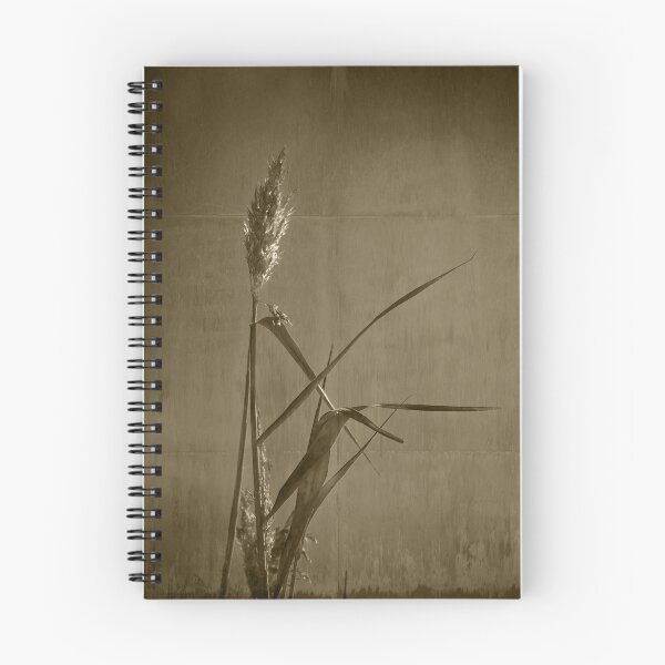 Item preview, Long Grass  designed and sold by Christine Wilson.